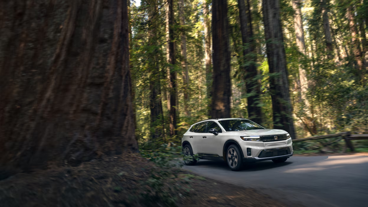 2024 white Prologue. New 2024 white Prologue. White Prologue car 2024. Concept 2024 white Prologue. Design 2024 white Prologue. Technology 2024 white Prologue. Performance 2024 white Prologue. Buy 2024 white Prologue. Test drive 2024 white Prologue. Availability 2024 white Prologue.