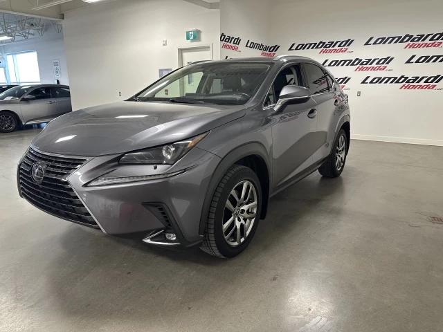 Lexus NX300 NX 300 2021