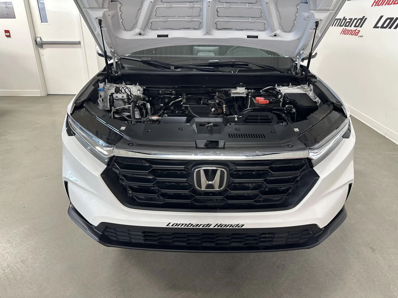 2023 Honda CR-V
                                                    LX Main Image