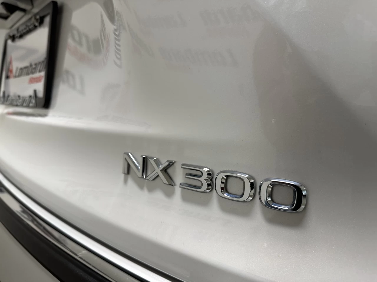 2020 Lexus NX300
                                                    NX 300 Image principale