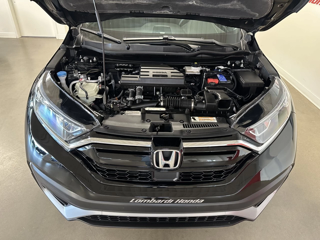2021 Honda CR-V
                                                    LX Main Image