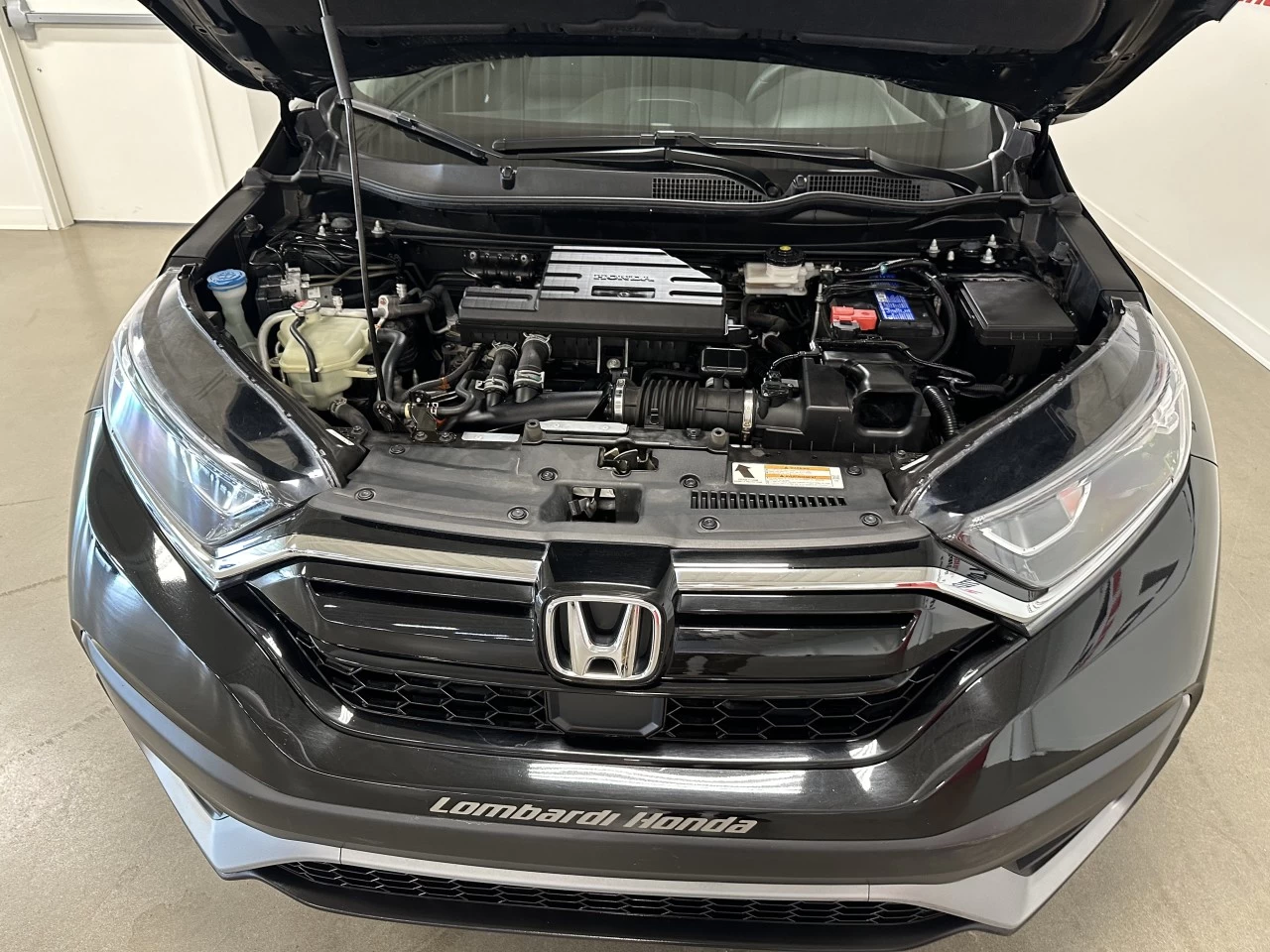 2022 Honda CR-V
                                                    LX Main Image